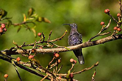 外媒PC Gamer 2024年度最佳游戏公布：《小丑牌》